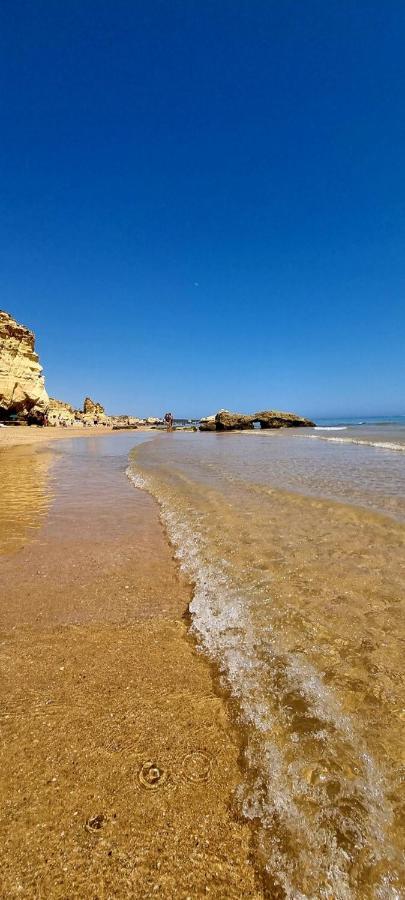Praia Da Rocha Summer Beach Sea View 포티마오 외부 사진