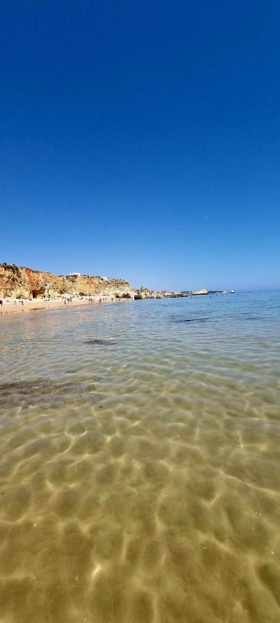 Praia Da Rocha Summer Beach Sea View 포티마오 외부 사진