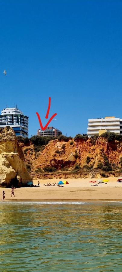 Praia Da Rocha Summer Beach Sea View 포티마오 외부 사진