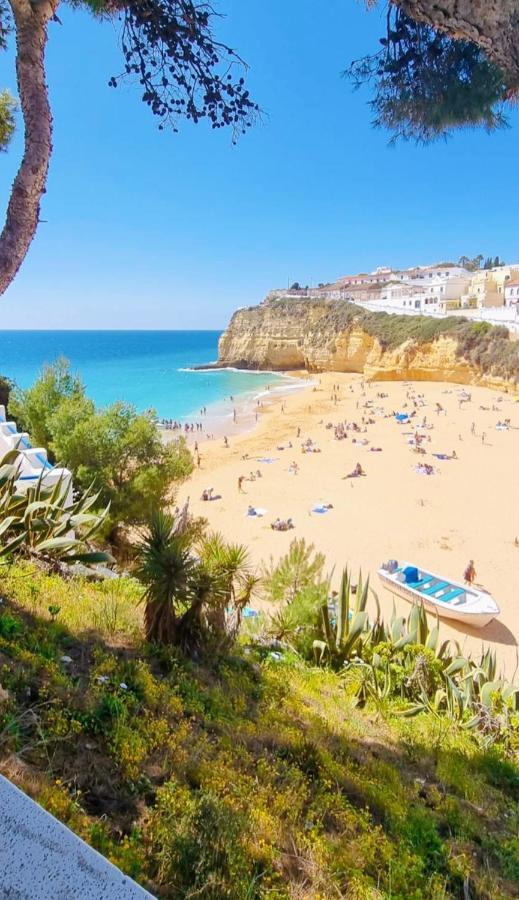 Praia Da Rocha Summer Beach Sea View 포티마오 외부 사진